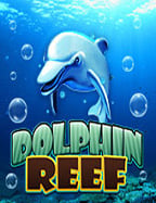 เงินฟรี จำหน่ายตู้สล็อต บนแพลตฟอร์มออนไลน์